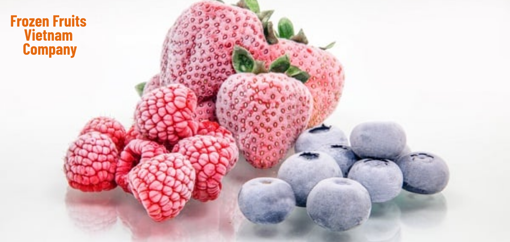 Frozen Fruits Vietnam Company 5